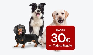 Elige el mejor seguro para tu mascota